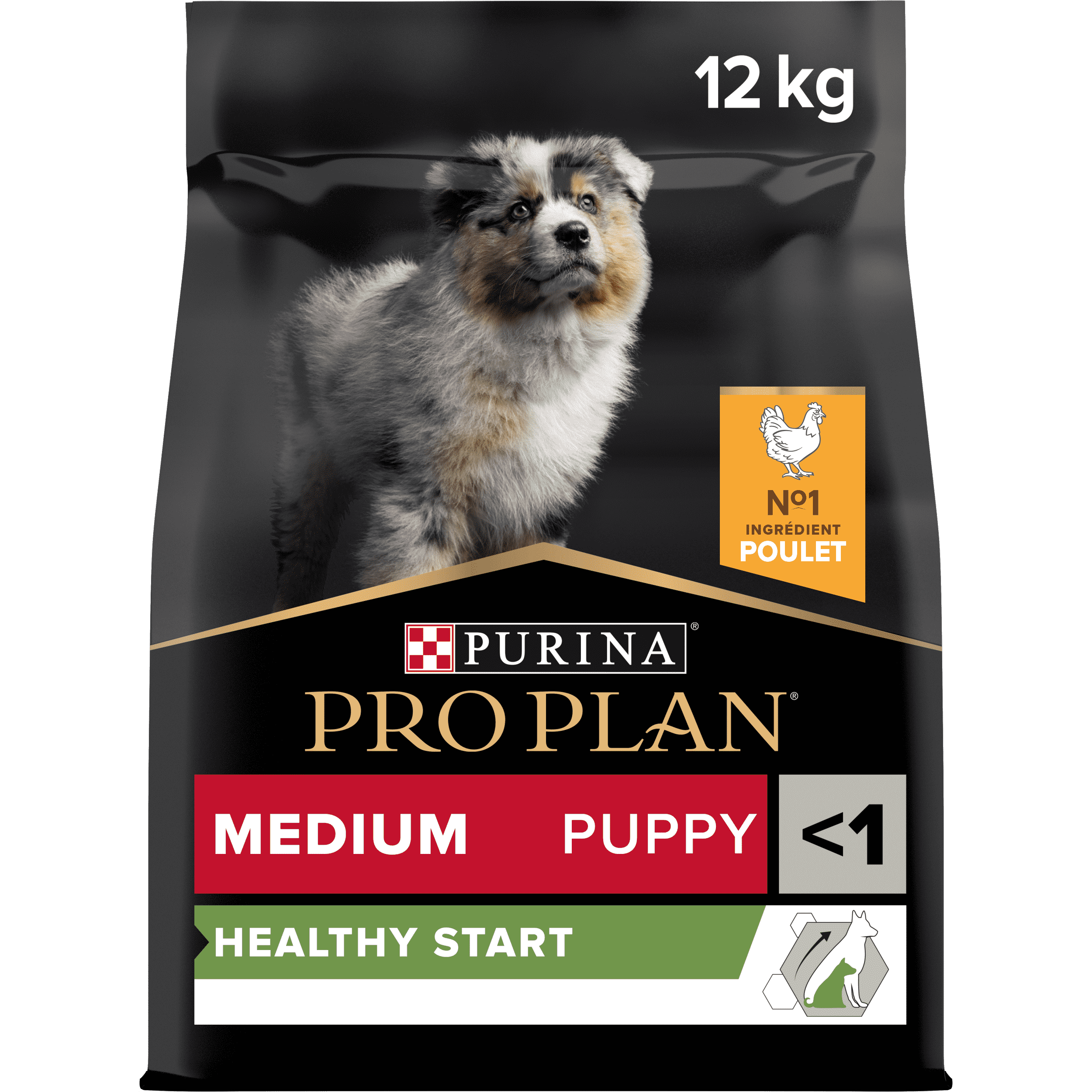 PRO PLAN Chien Medium Puppy Healthy Start  Poulet 12KG
