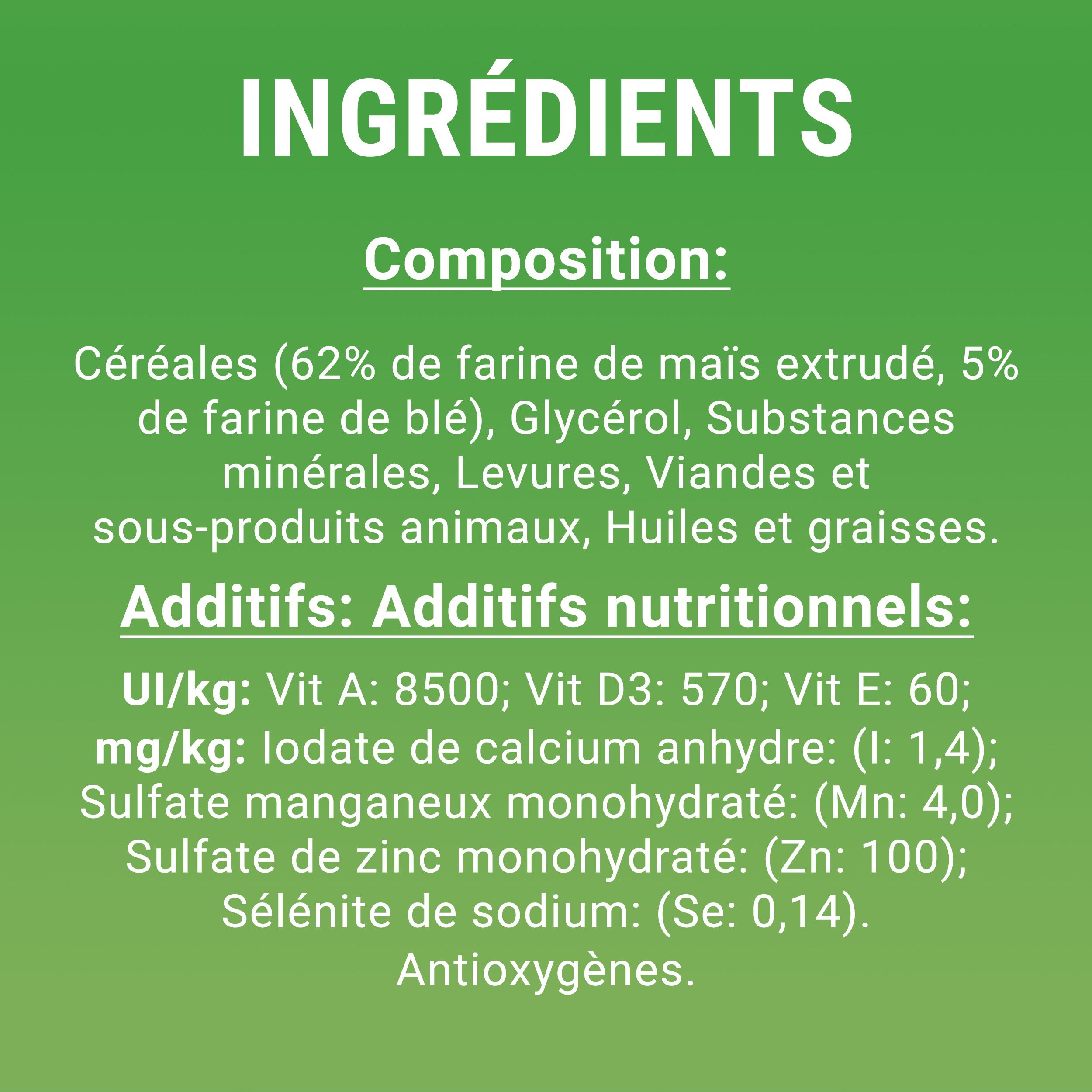 DENTALIFE Maxi Maxi Pack 12 Friandises