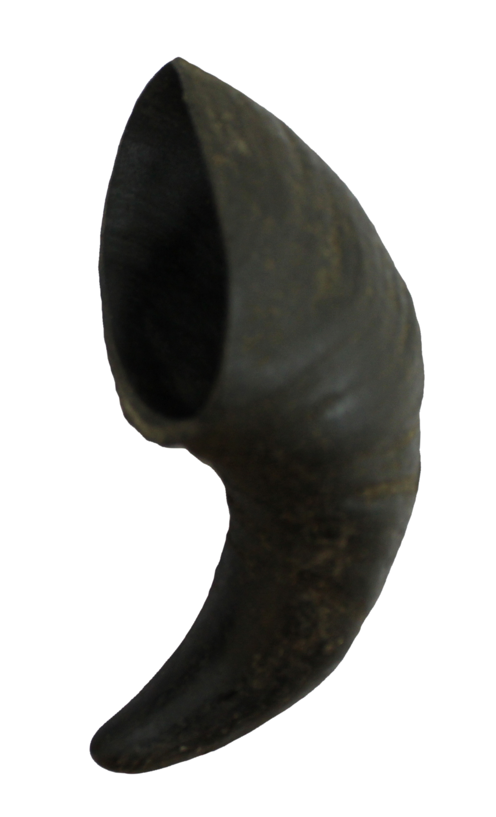 Corne de buffle S 80g Bubimex