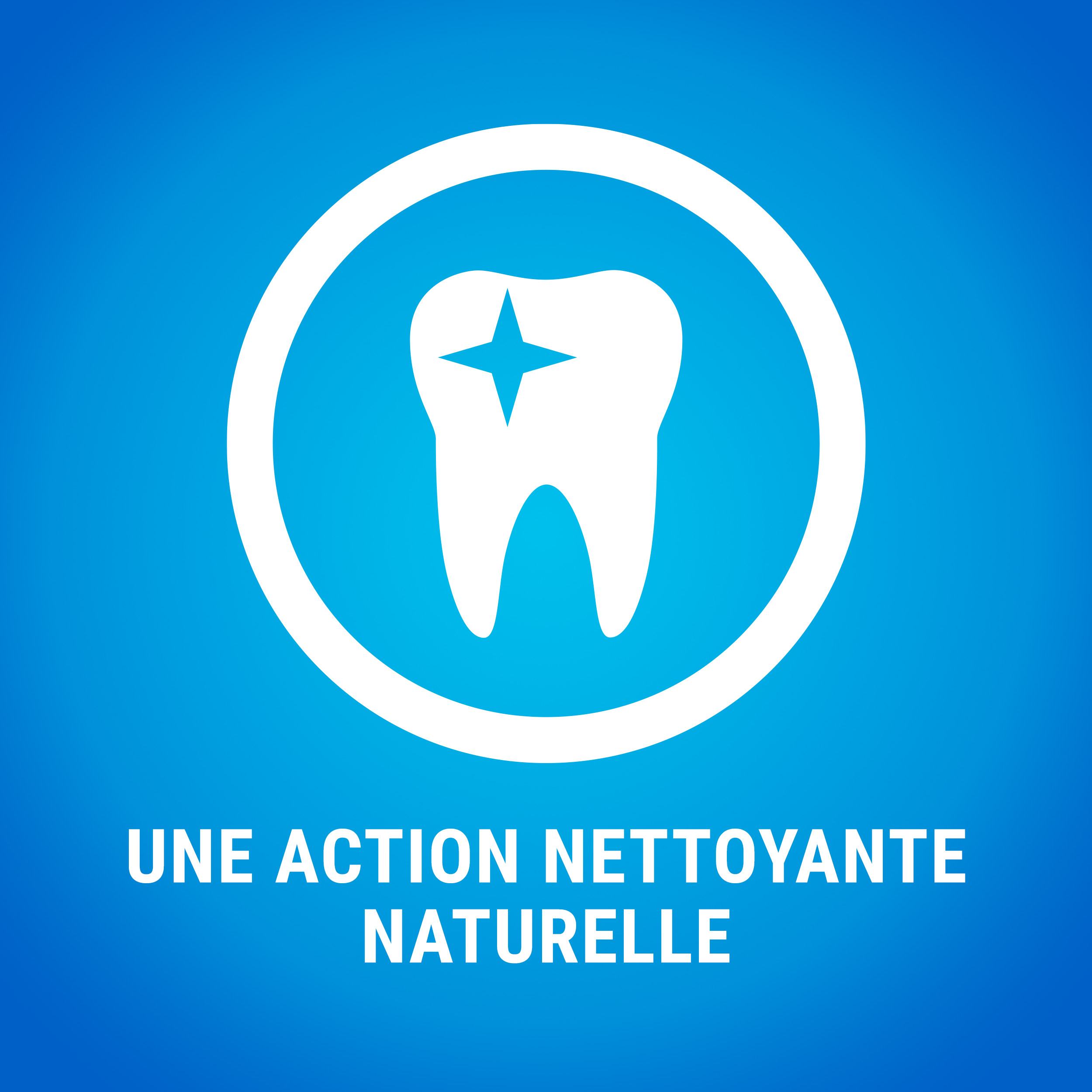 DENTALIFE Maxi Maxi Pack 12 Friandises