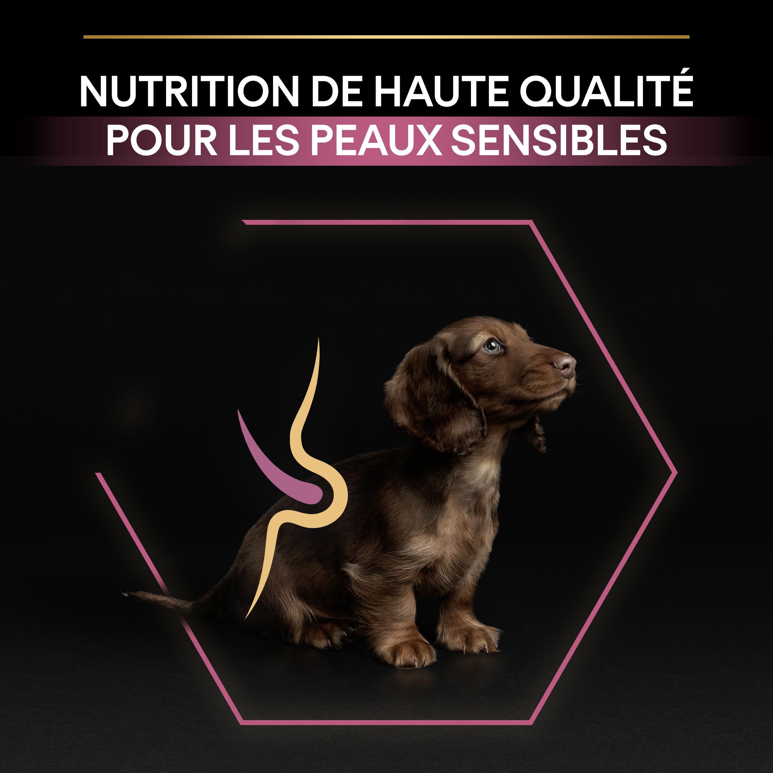 PRO PLAN Chien Small&Mini Puppy Sensitive Skin Saumon 3KG
