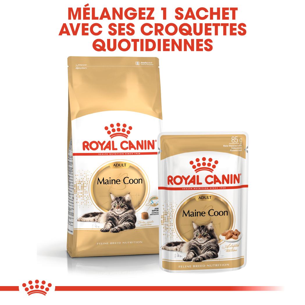 ROYAL CANIN MAINE COON ADULT CHAT A PARTIR DE 15 MOIS 10KG