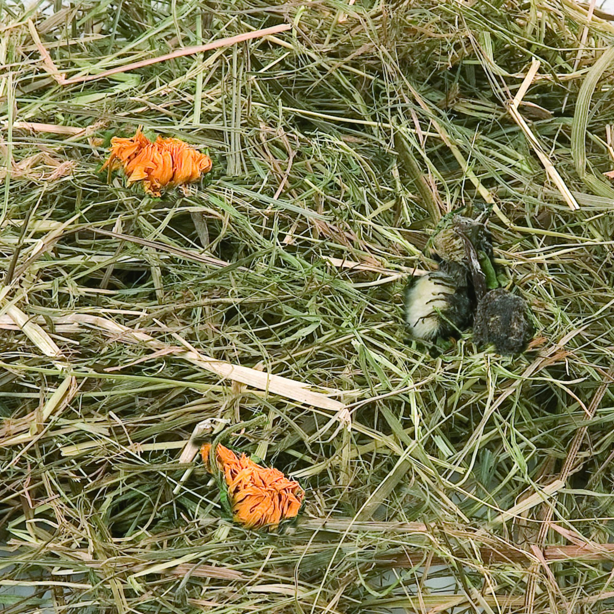 Friandises Foin de montagne  aux fleurs de pissenlit