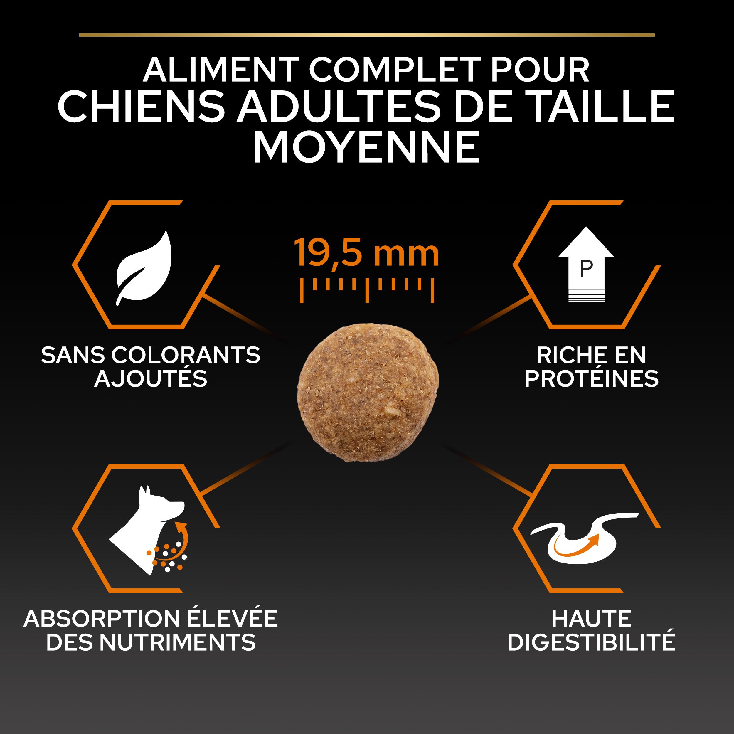 PRO PLAN Chien Large Adult Robust Everyday Nutrition Poulet 14KG