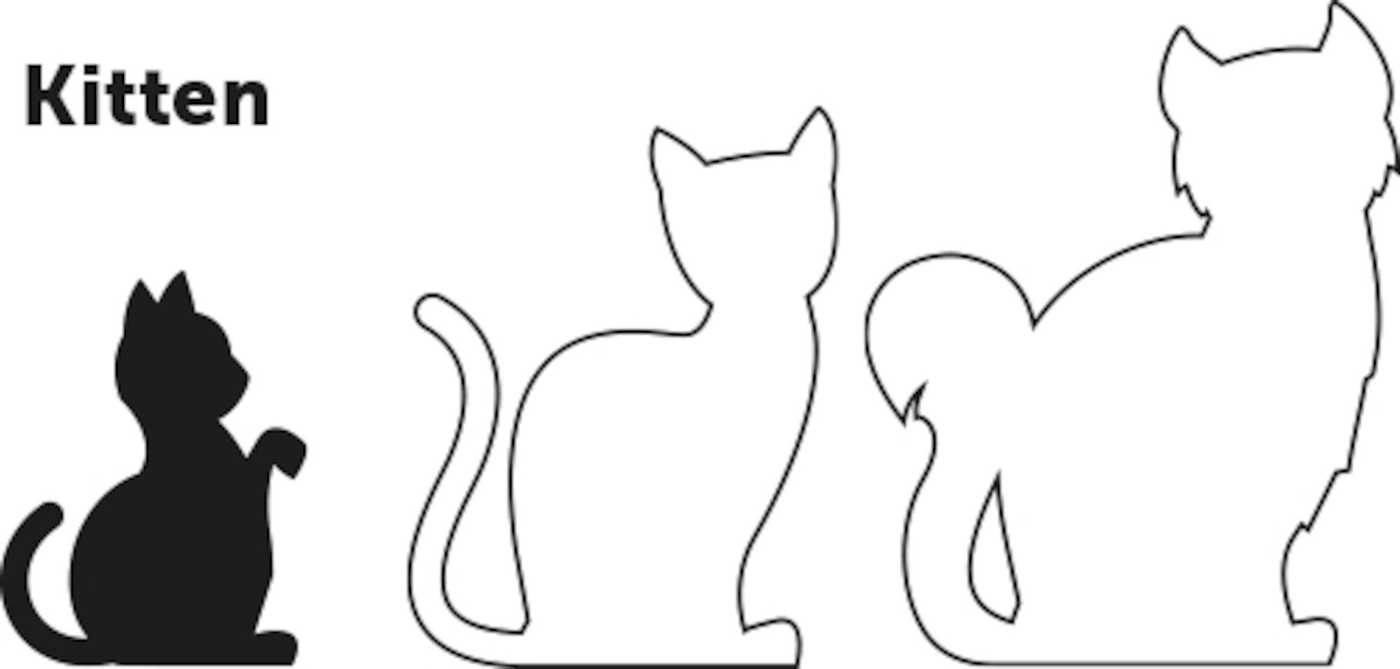 Harnais avec laisse Chaton Ziggi Noir