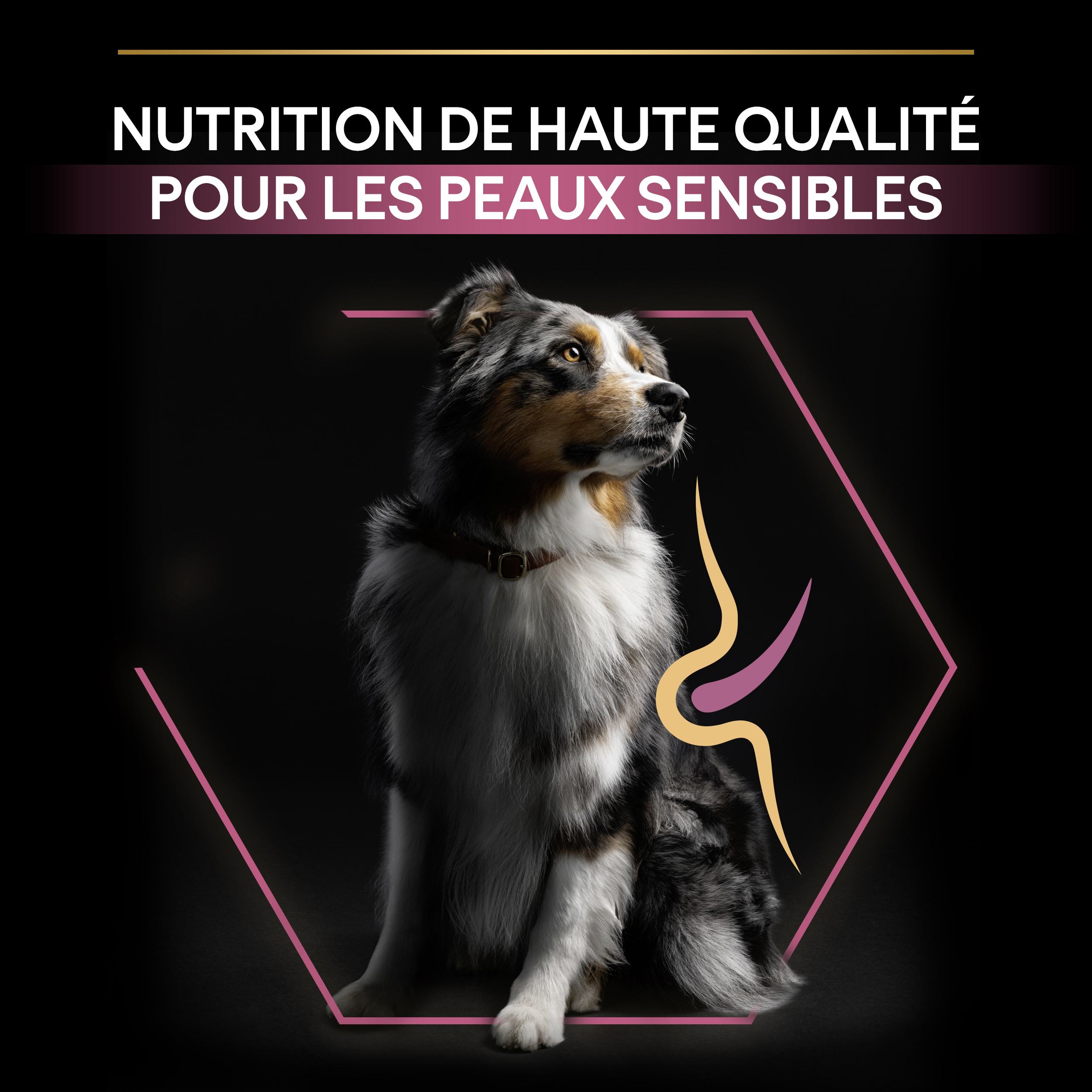 PRO PLAN Chien Medium Adult Sensitive Skin Saumon 14KG