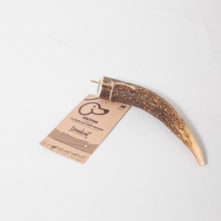 EKTOR  BOIS DE CERF ENTIER TAILLE M