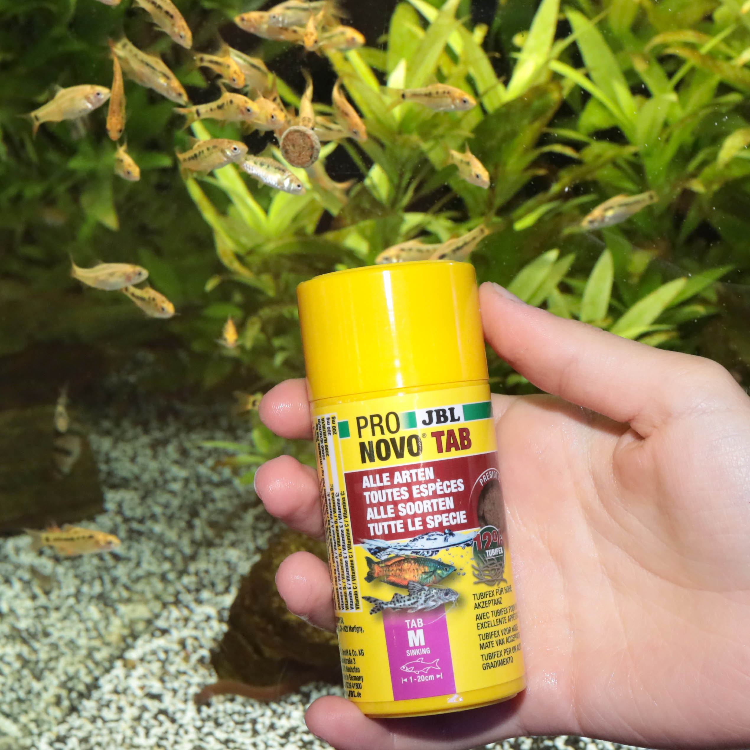 JBL PRONOVO TAB M 100ml - Cachets pour poissons de fond