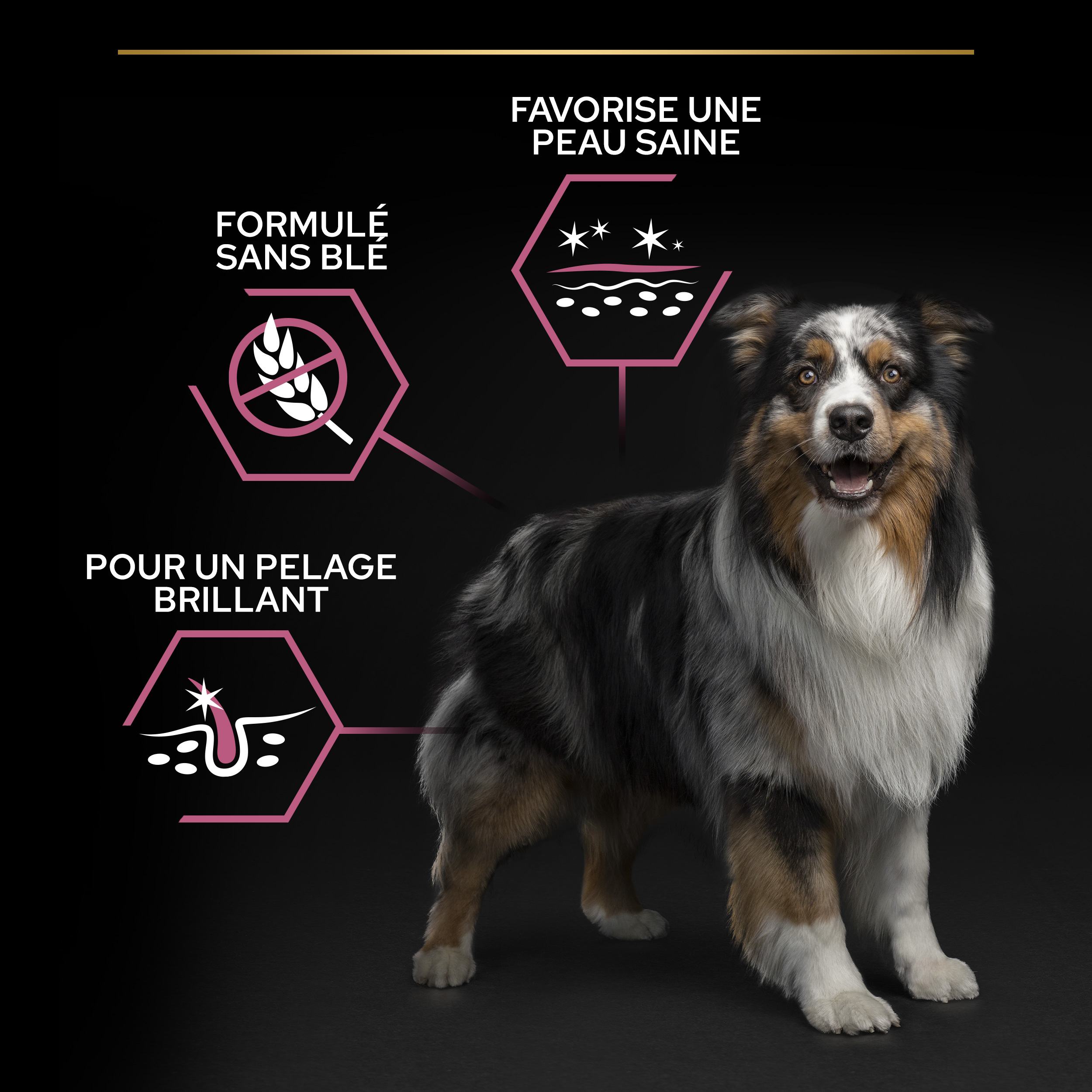 PRO PLAN Chien Medium Adult Sensitive Skin Saumon 14KG