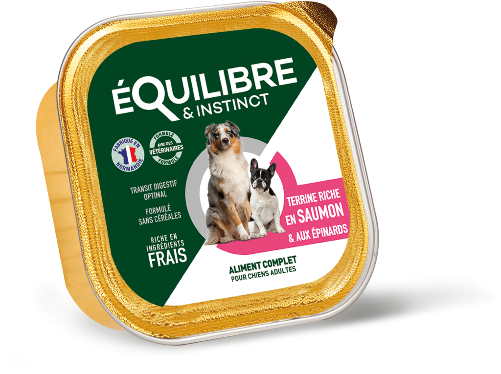 PÂTÉE RICHE EN SAUMON ET AUX ÉPINARDS POUR CHIENS - 300 G
