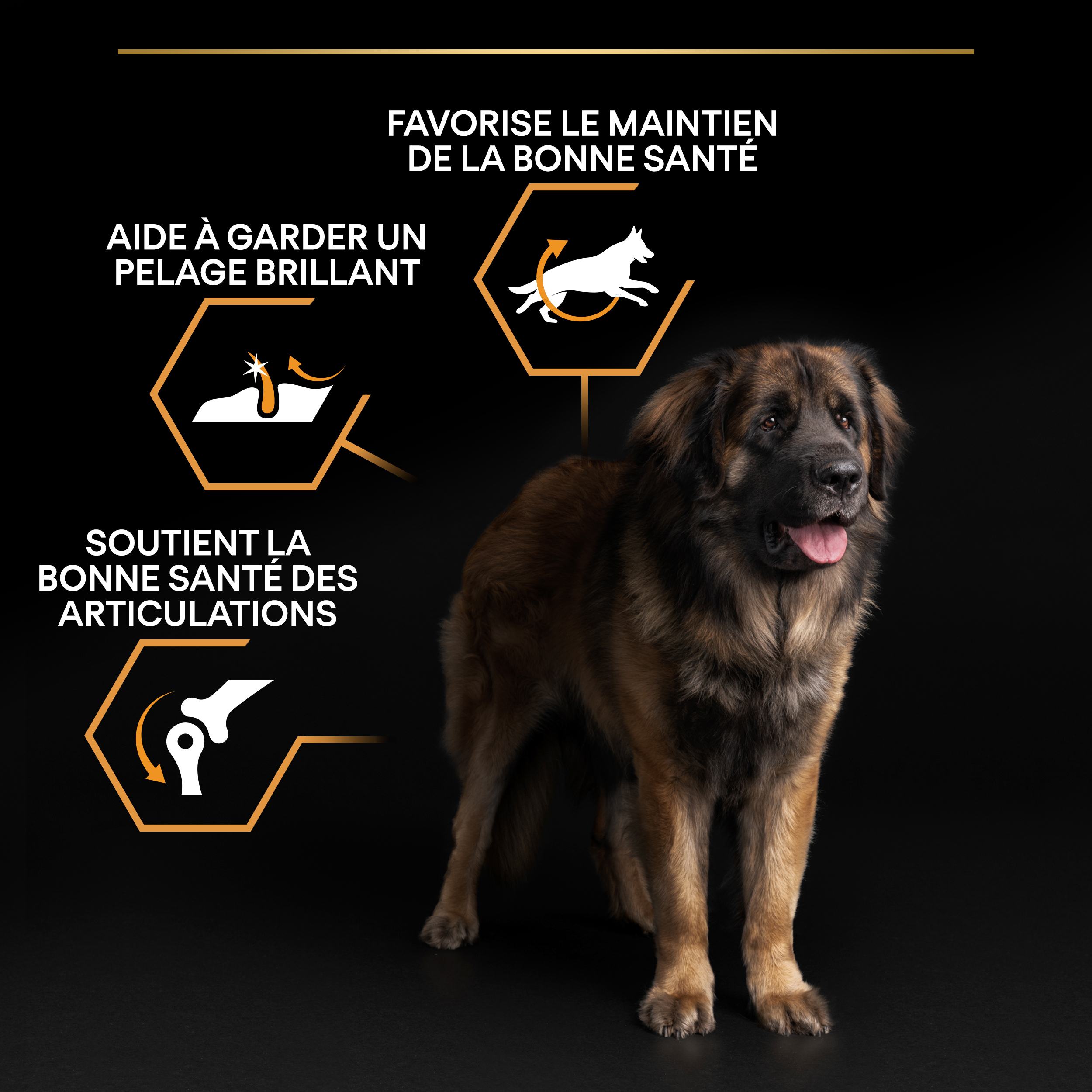 PRO PLAN Chien Large Adult Robust Everyday Nutrition Poulet 14KG