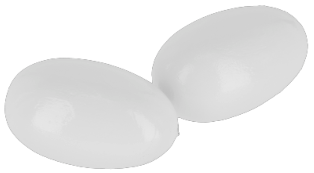 Œufs factices bois blanc, 2pcs