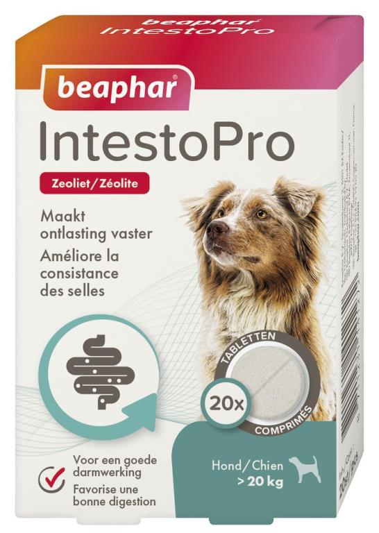 IntestoPro, comprimés pour améliorer la consistance des selles pour chiens (> 20 kg)
