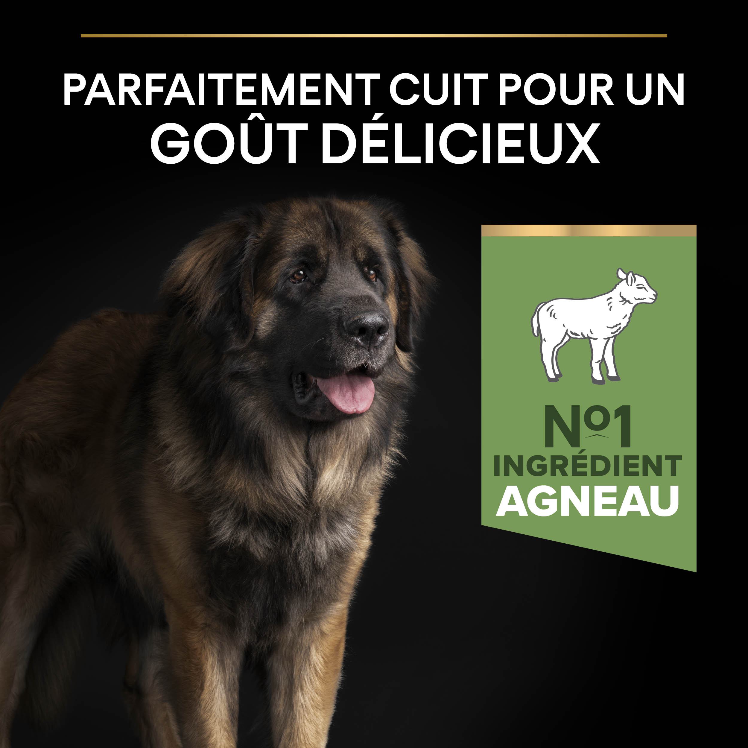 PRO PLAN Chien Large Adult Robust Sensitive Digestion Agneau 14KG