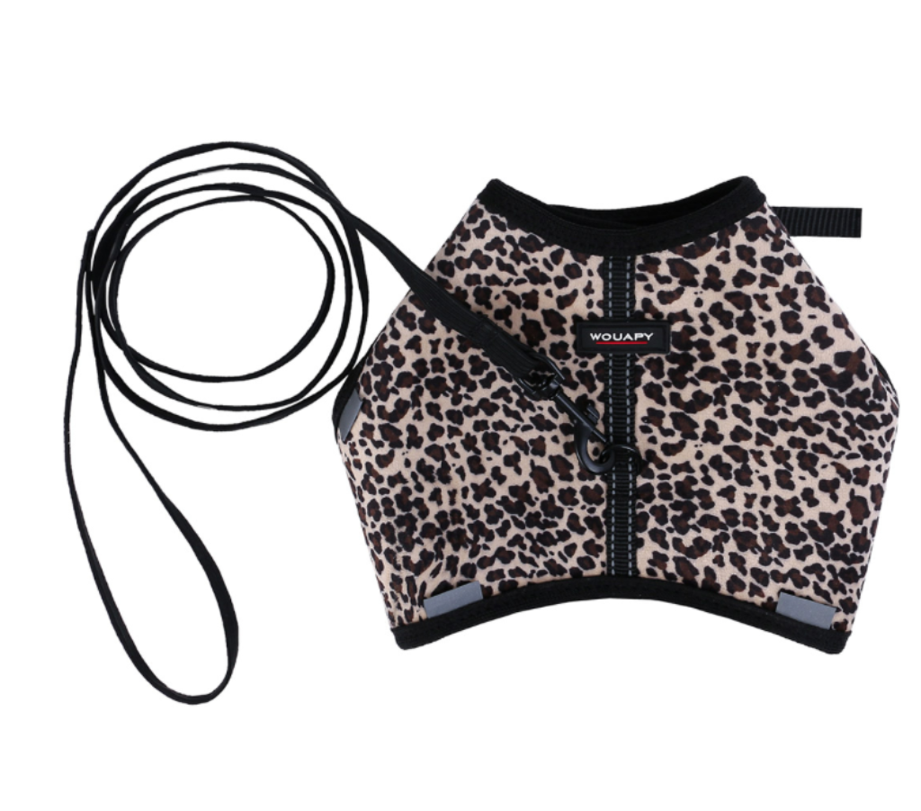 WOUAPY Harnais léopard soft avec laisse 10x120mm pour chat