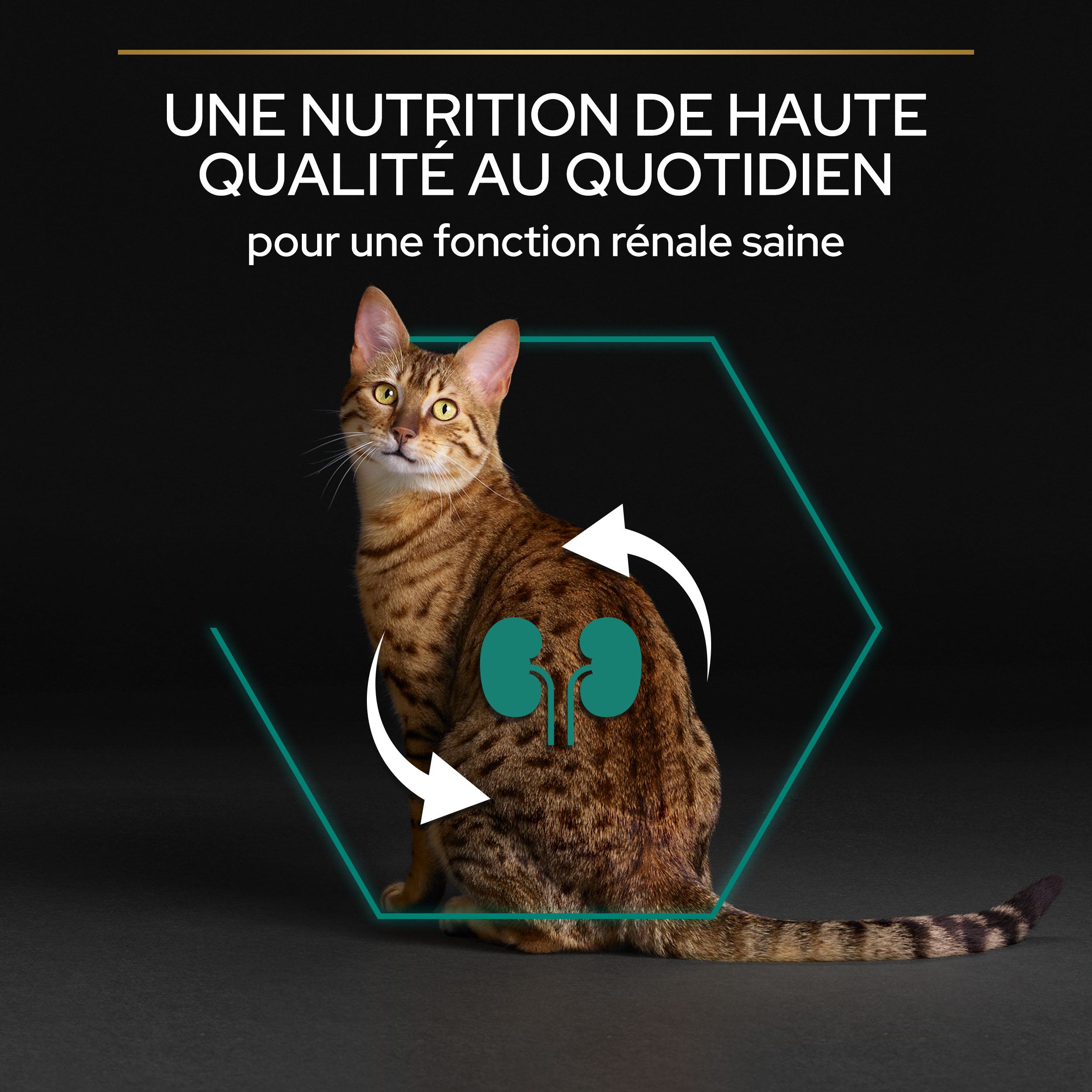 Pro Plan Adult RENAL PLUS Poulet 3kg