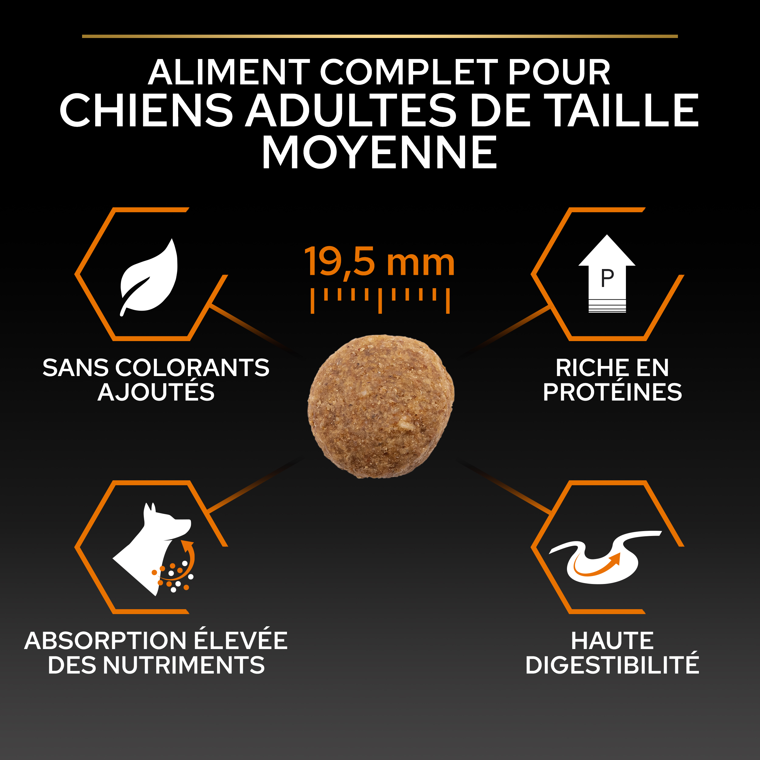 PRO PLAN Chien Large Adult Robust Everyday Nutrition Poulet 14KG