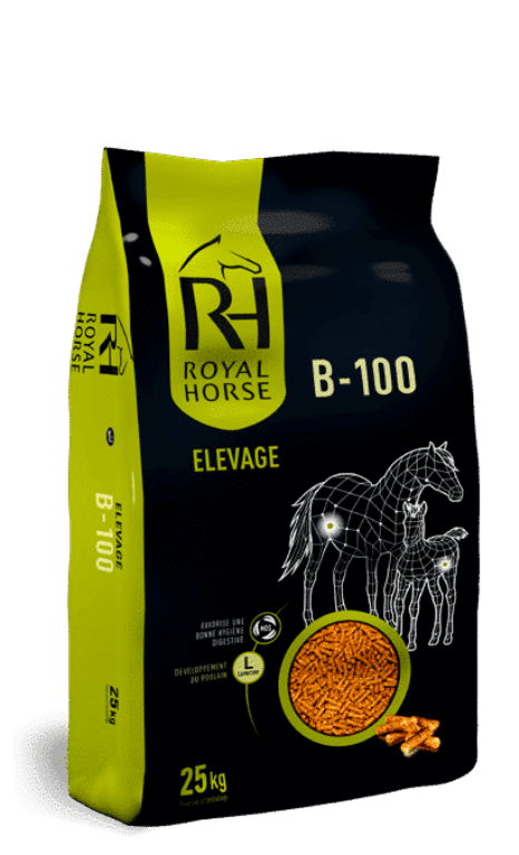 B 100 25KG Aliment granulé pour chevaux d’élevage