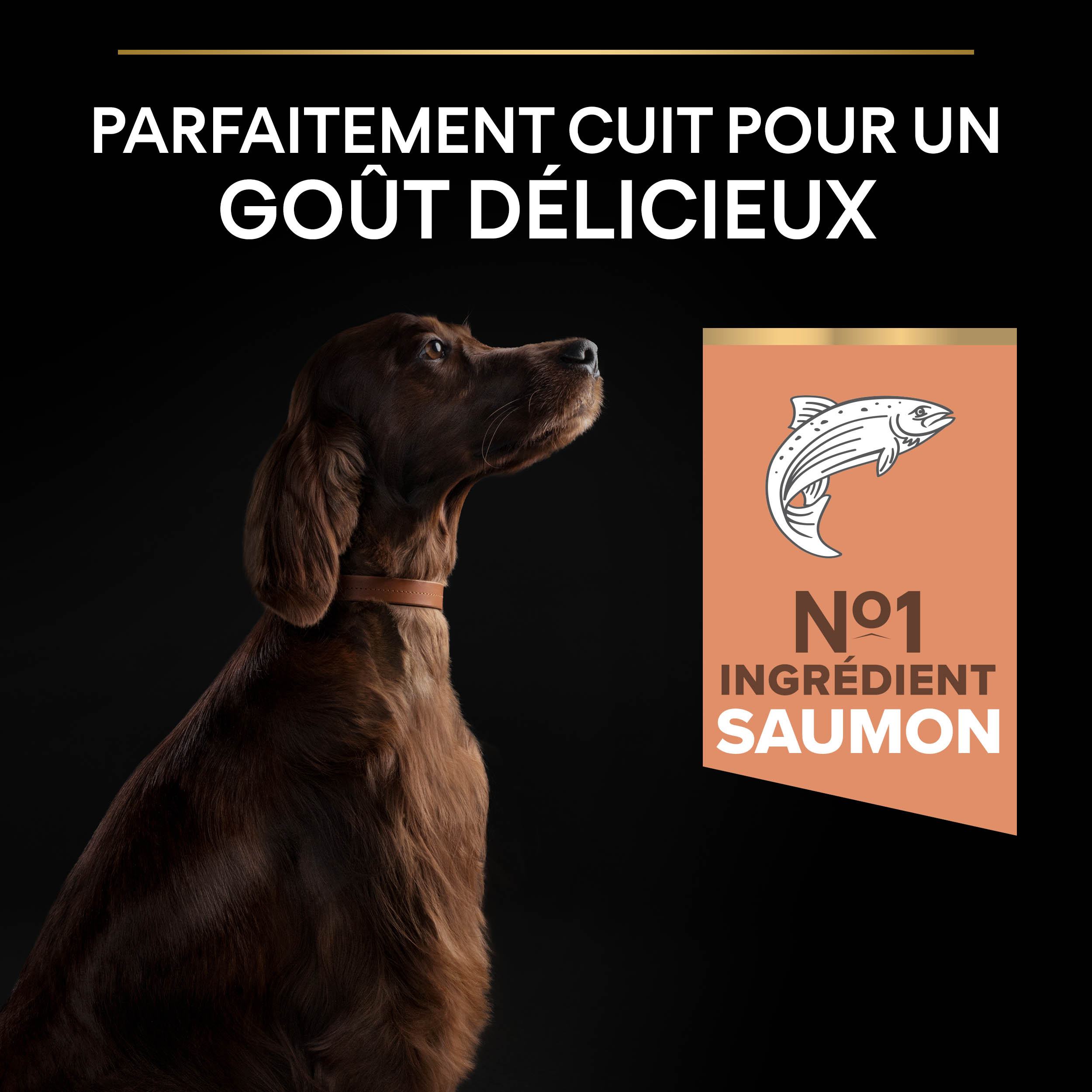 PRO PLAN Chien Large Adult Athletic Sensitive Skin Saumon 14KG