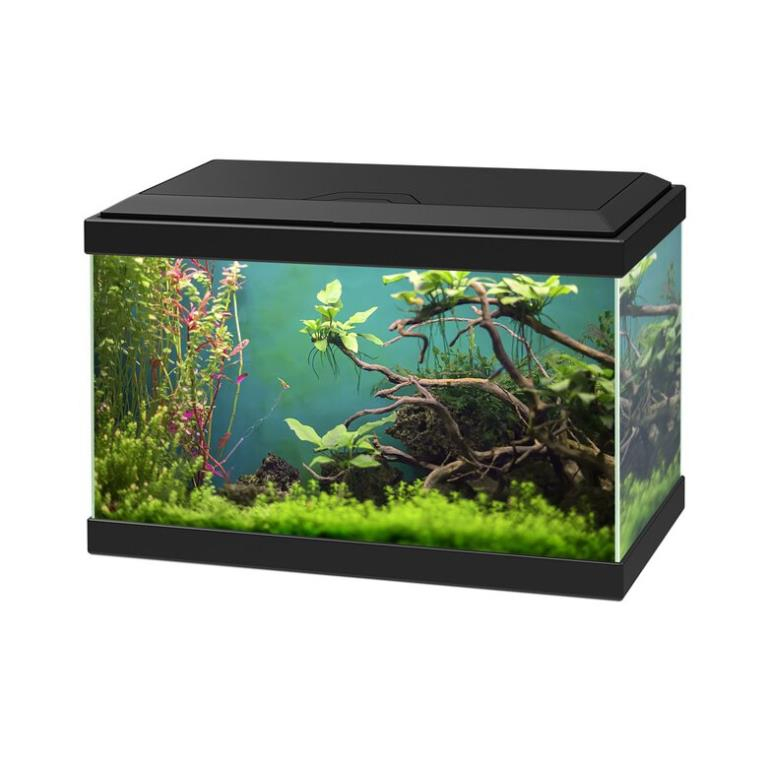 Aquarium en verre Aqua 20 LED Noir 17 L CIANO
