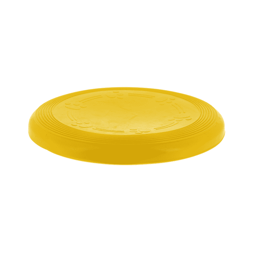 Frisbee flottant