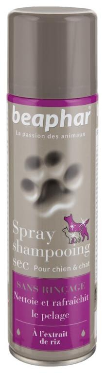 Spray Shampooing Sec premium Empreinte - Sans rinçage, à l’extrait de riz - 250 ml