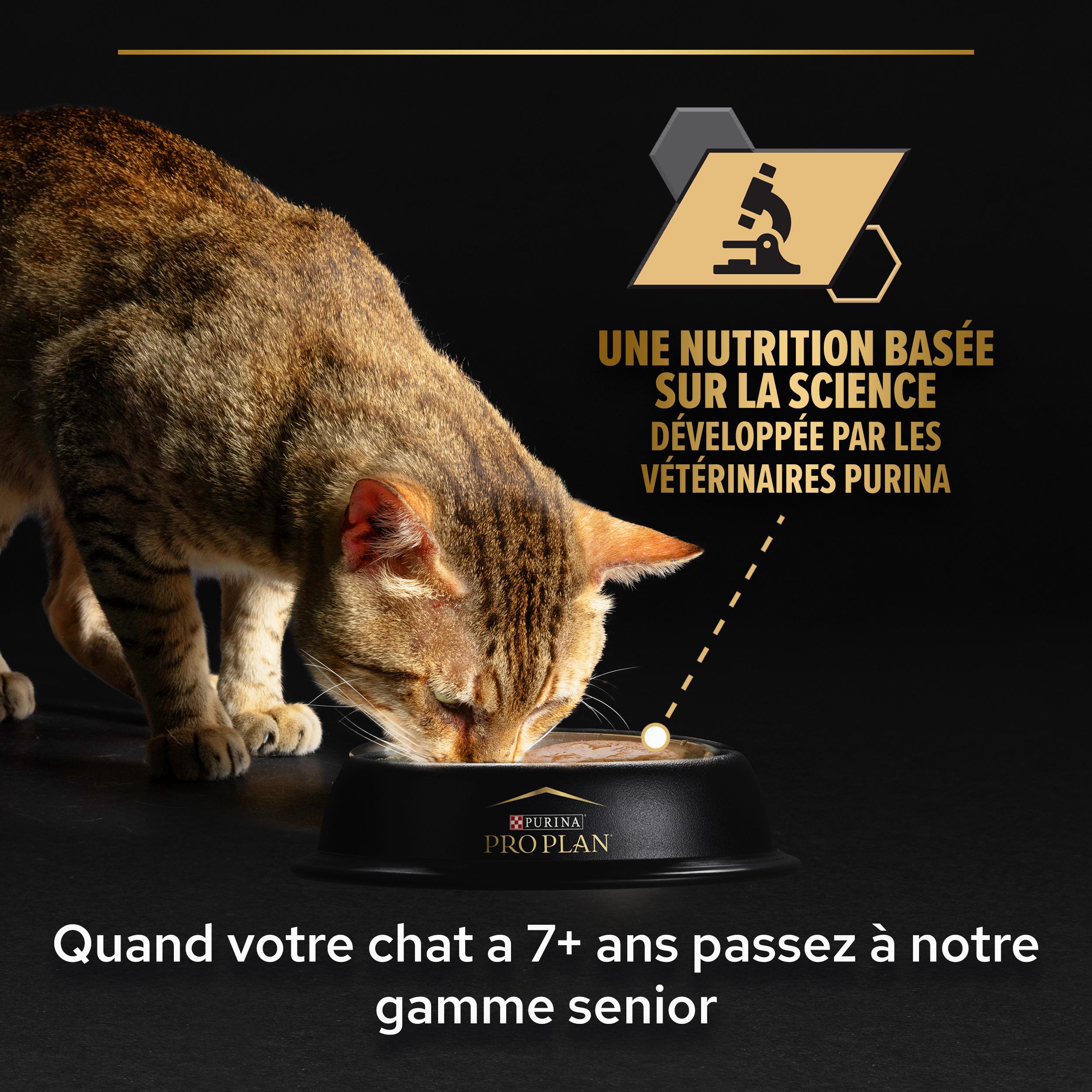 PRO PLAN STERILISED MAINTENANCE Terrine Thon Saumon 85g