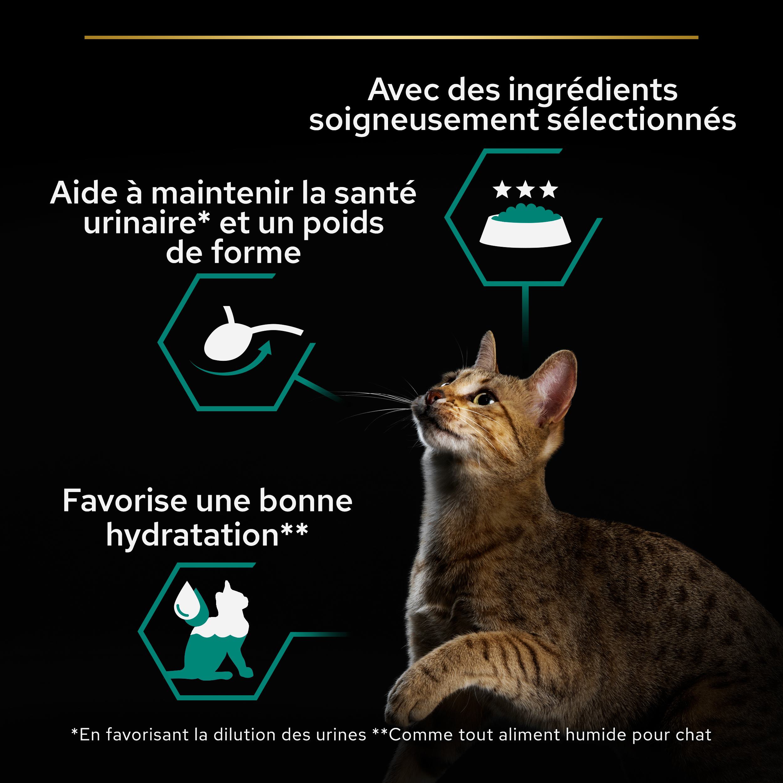 PRO PLAN Chat ADULT MAINTENANCE - Terrine riche en Poulet - 85g