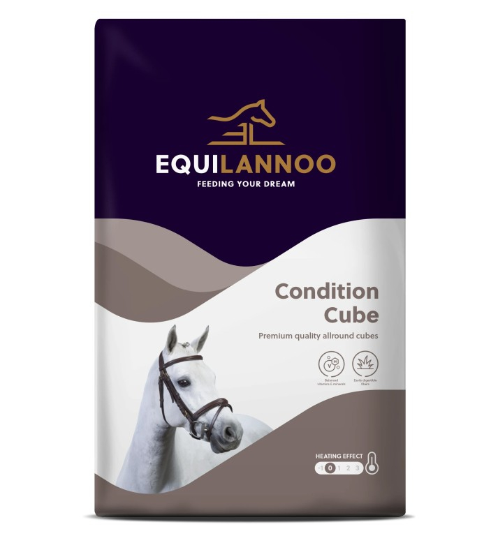 EQUILANNOO CONDITION CUBE - 20KG