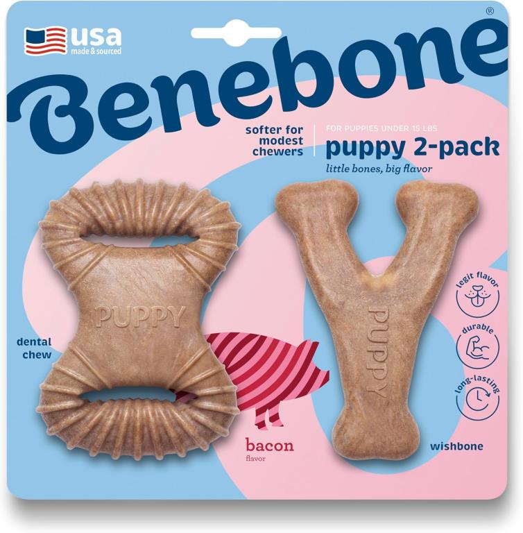 JOUET NYLON PUPPY PACK DENTAL CHEW-WISHBONE BACON