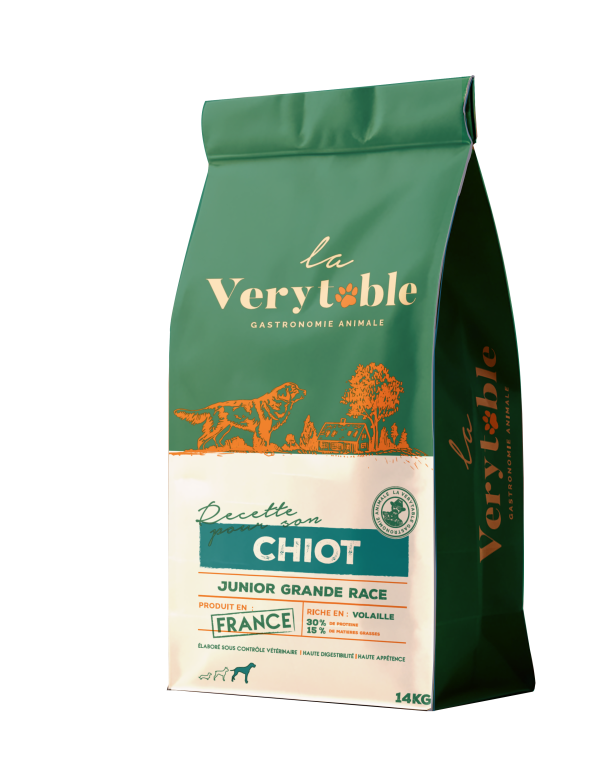 VERYTABLE CHIOT GRANDE RACE 14kg