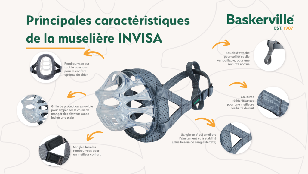 MUSELIERE BASKERVILLE INVISA T3