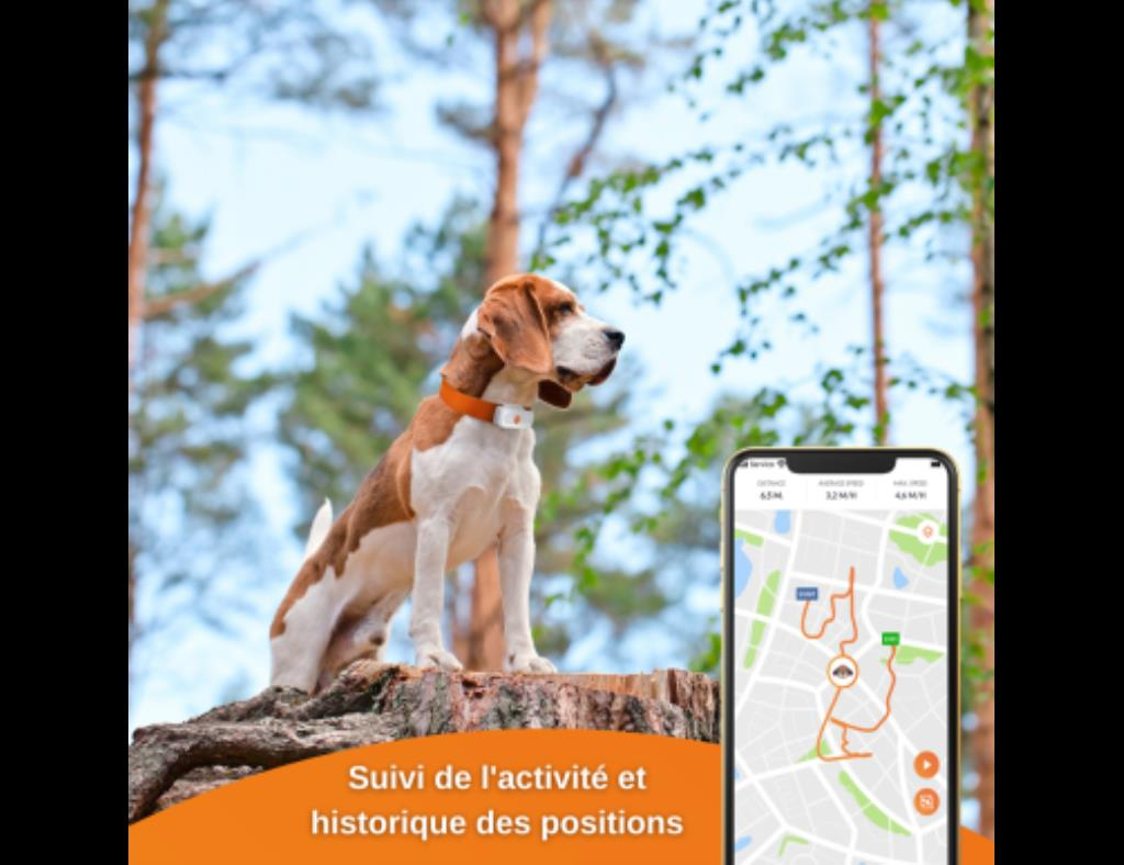 Collier GPS pour Chien - Weenect XS - blanc