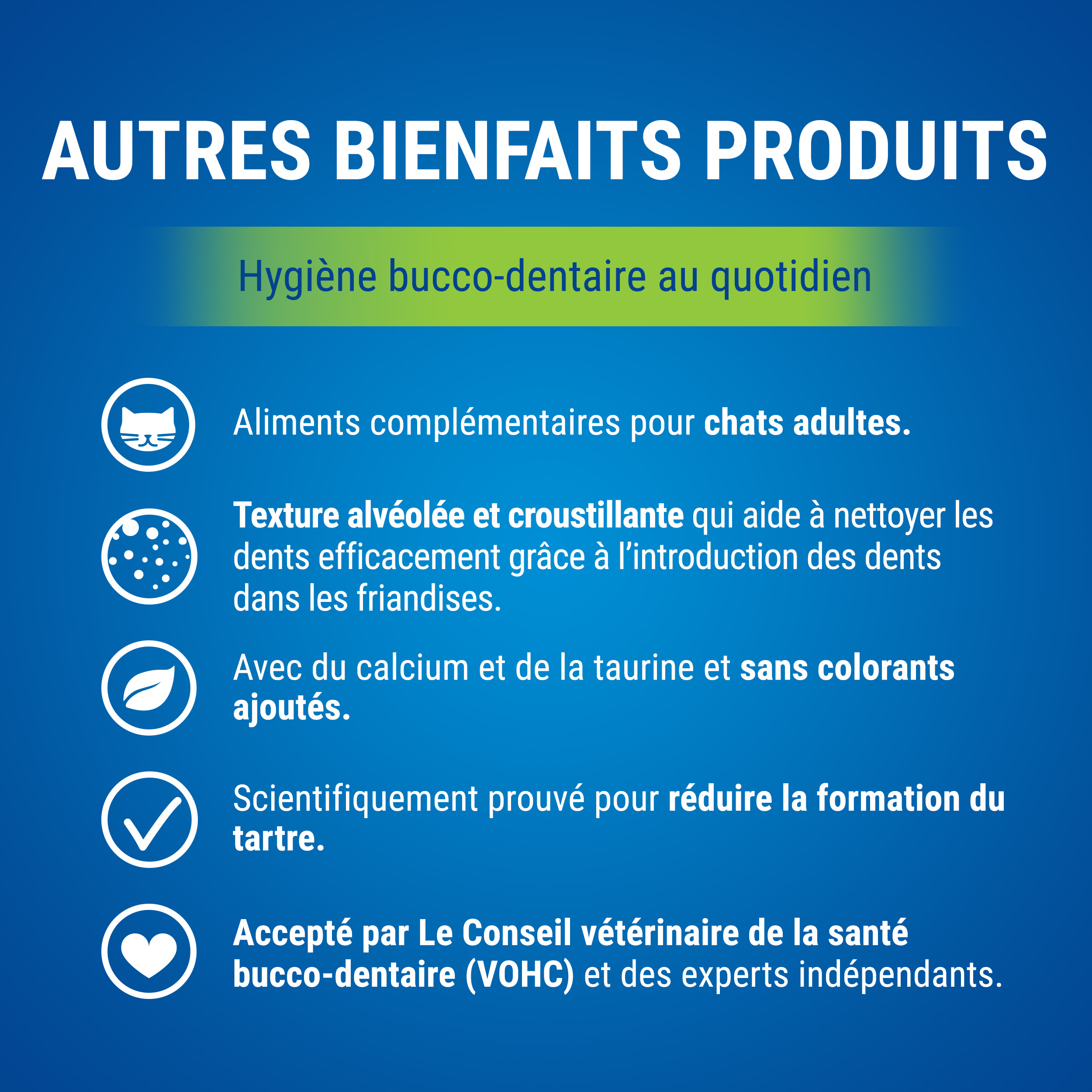 DENTALIFE Chat Friandises Saumon 40g