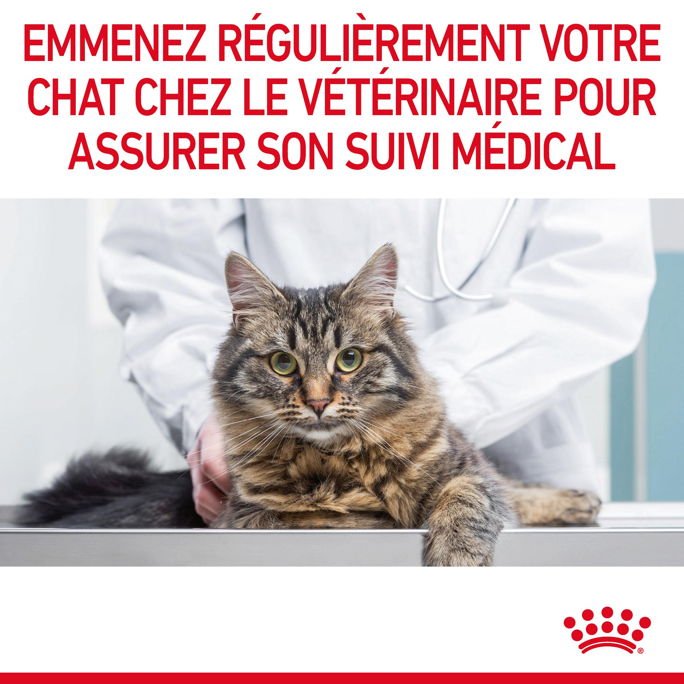 ROYAL CANIN APPETITE CONTROL SAUCE CHAT ADULTE FAVORISE LA SATIETE
12x85gr 