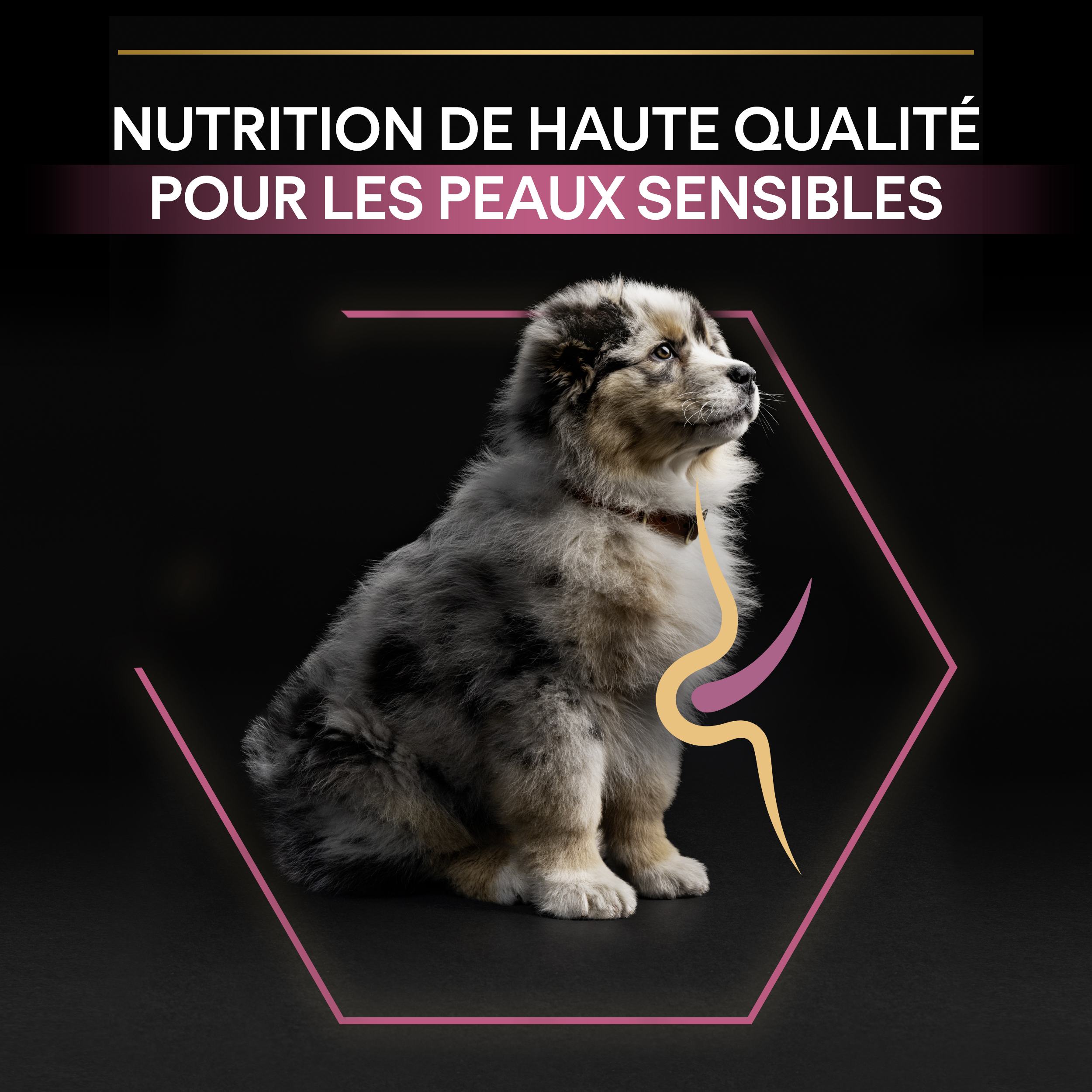 PRO PLAN Chien Medium Puppy Sensitive Skin Saumon 12KG