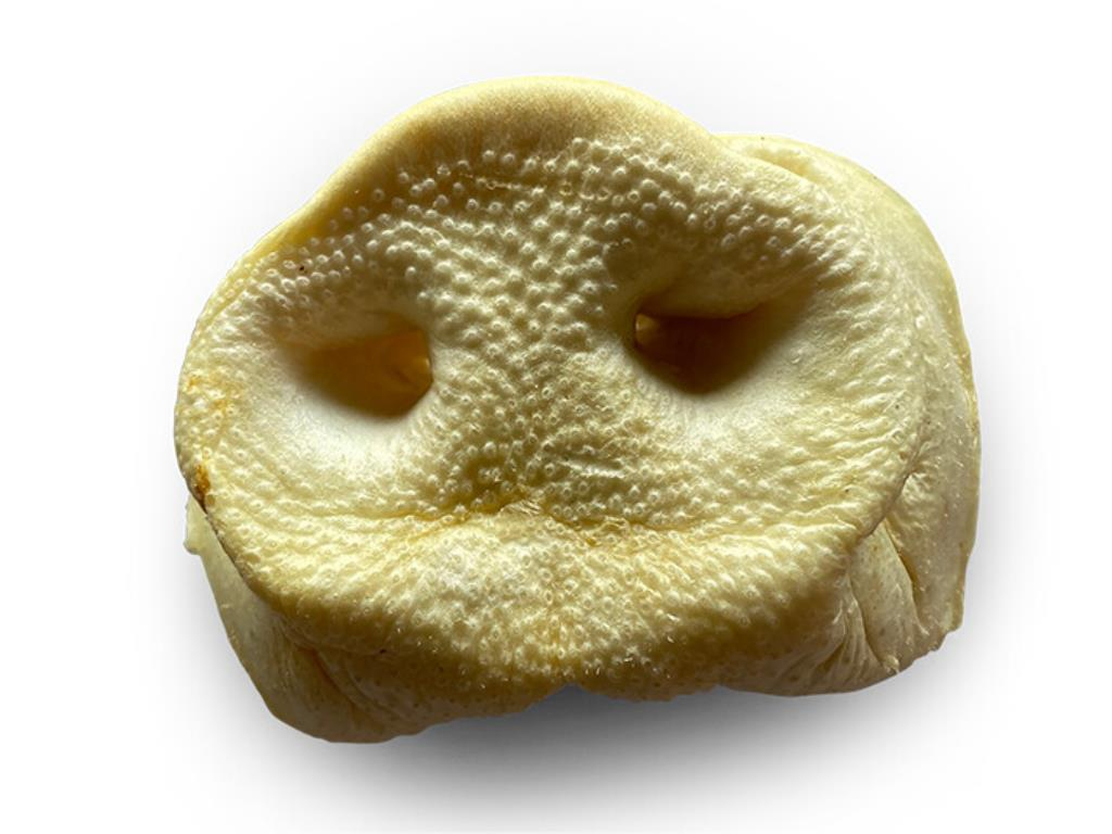 Nez de cochon soufflés vrac