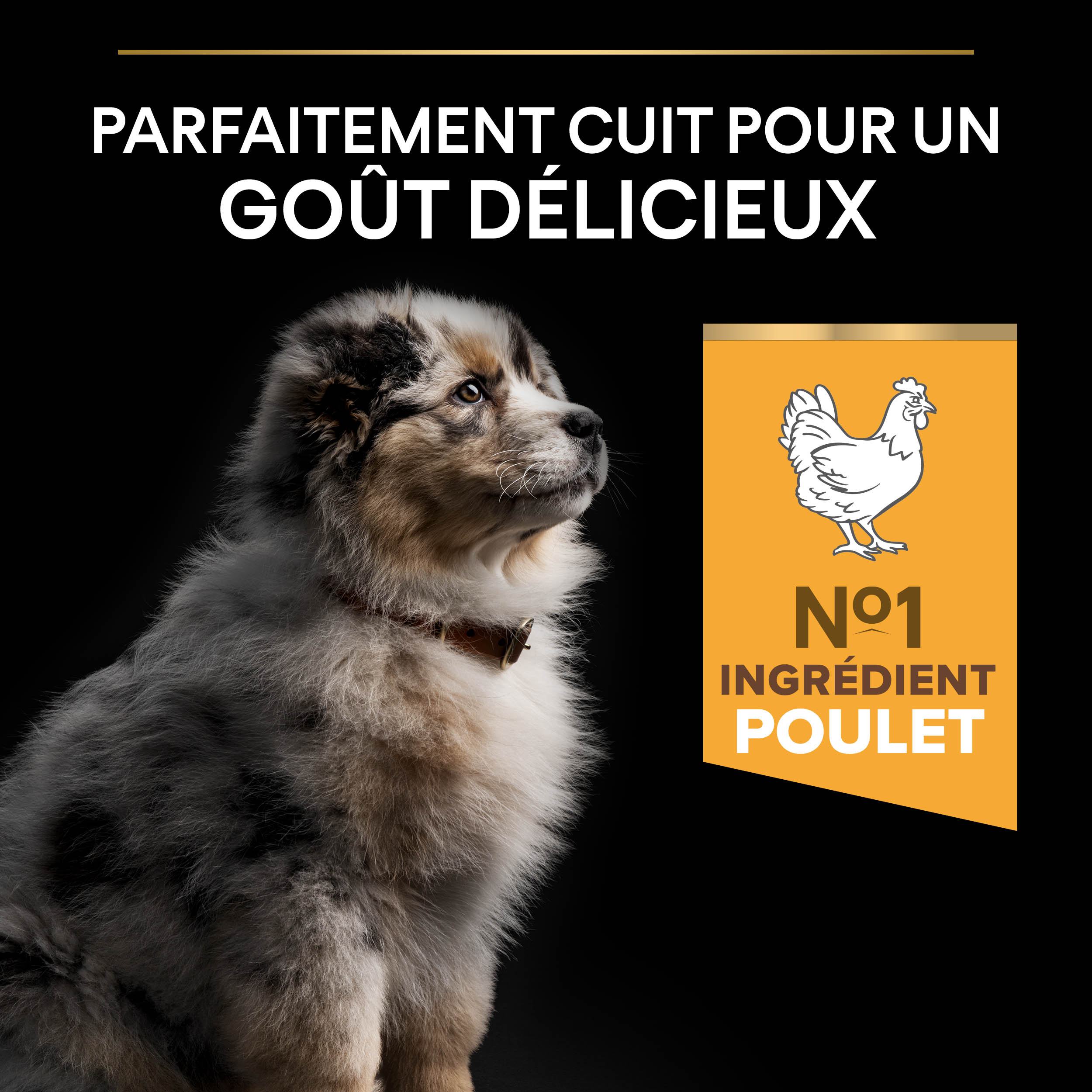 PRO PLAN Chien Medium Puppy Healthy Start  Poulet 12KG