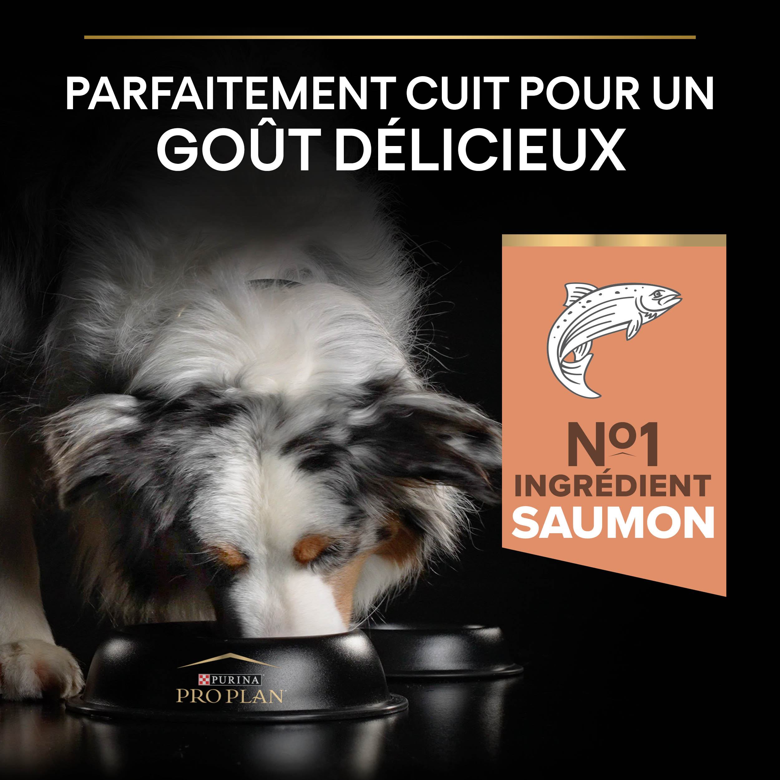 PRO PLAN Chien Medium Adult Sensitive Skin Saumon 14KG