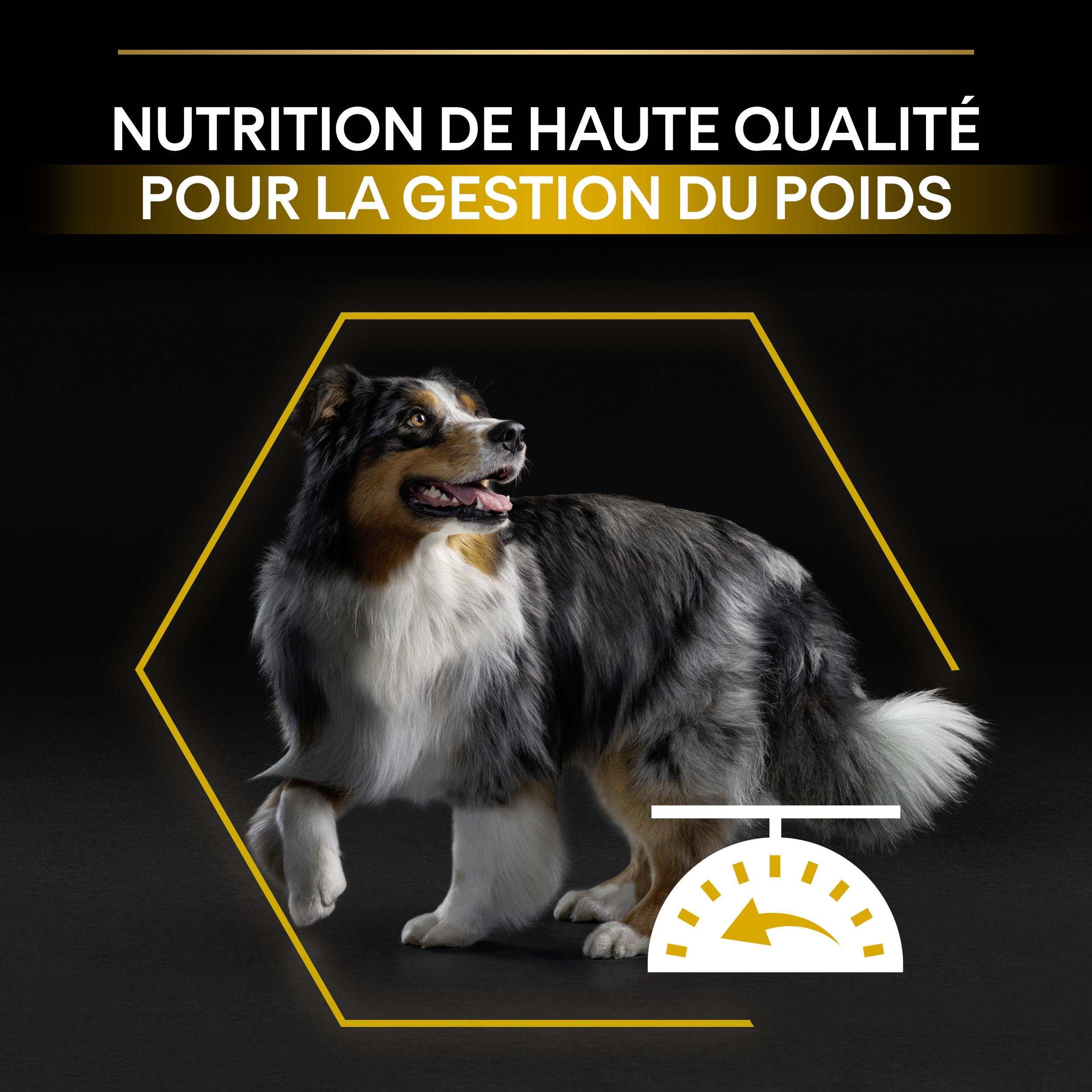PRO PLAN Chien All Sizes Adult Light/Sterilised Poulet 14KG