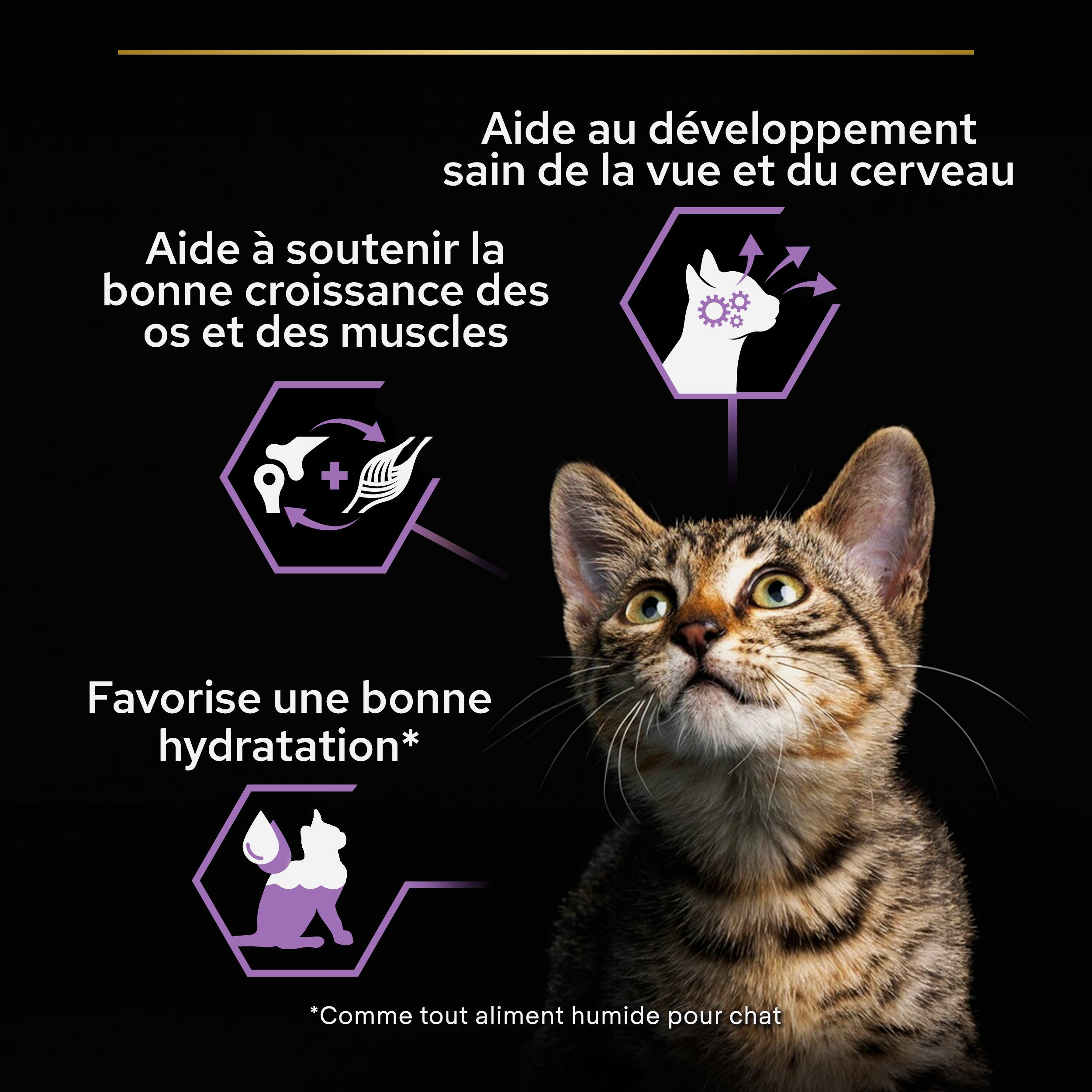 PRO PLAN Kitten HEALTHY START Dinde Sauce Pochons 10x85g