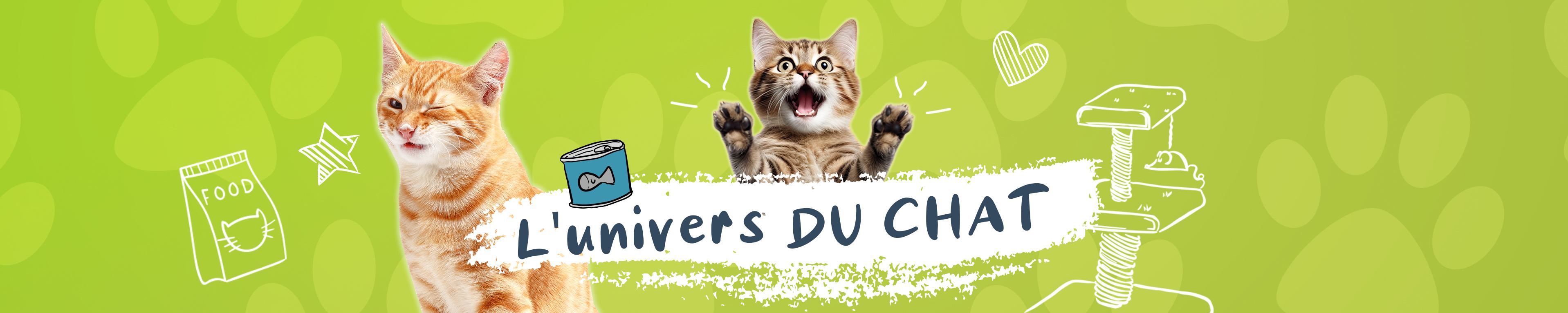 Chaton