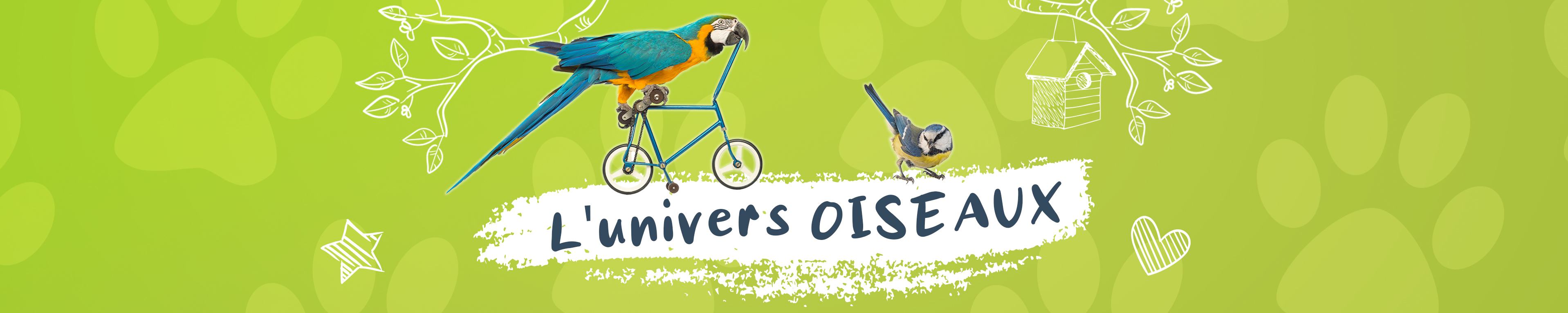 Litière et sable pour oiseaux
