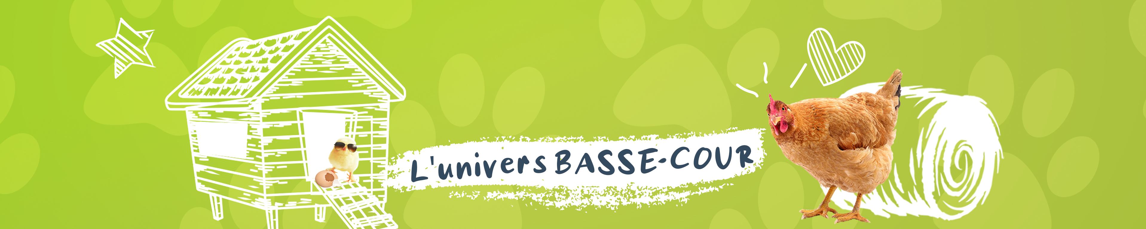 Poulallier et enclos pour basse cour