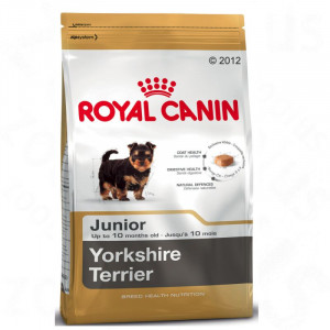 RC Yorkshire Terrier JUNIOR 1,5KG