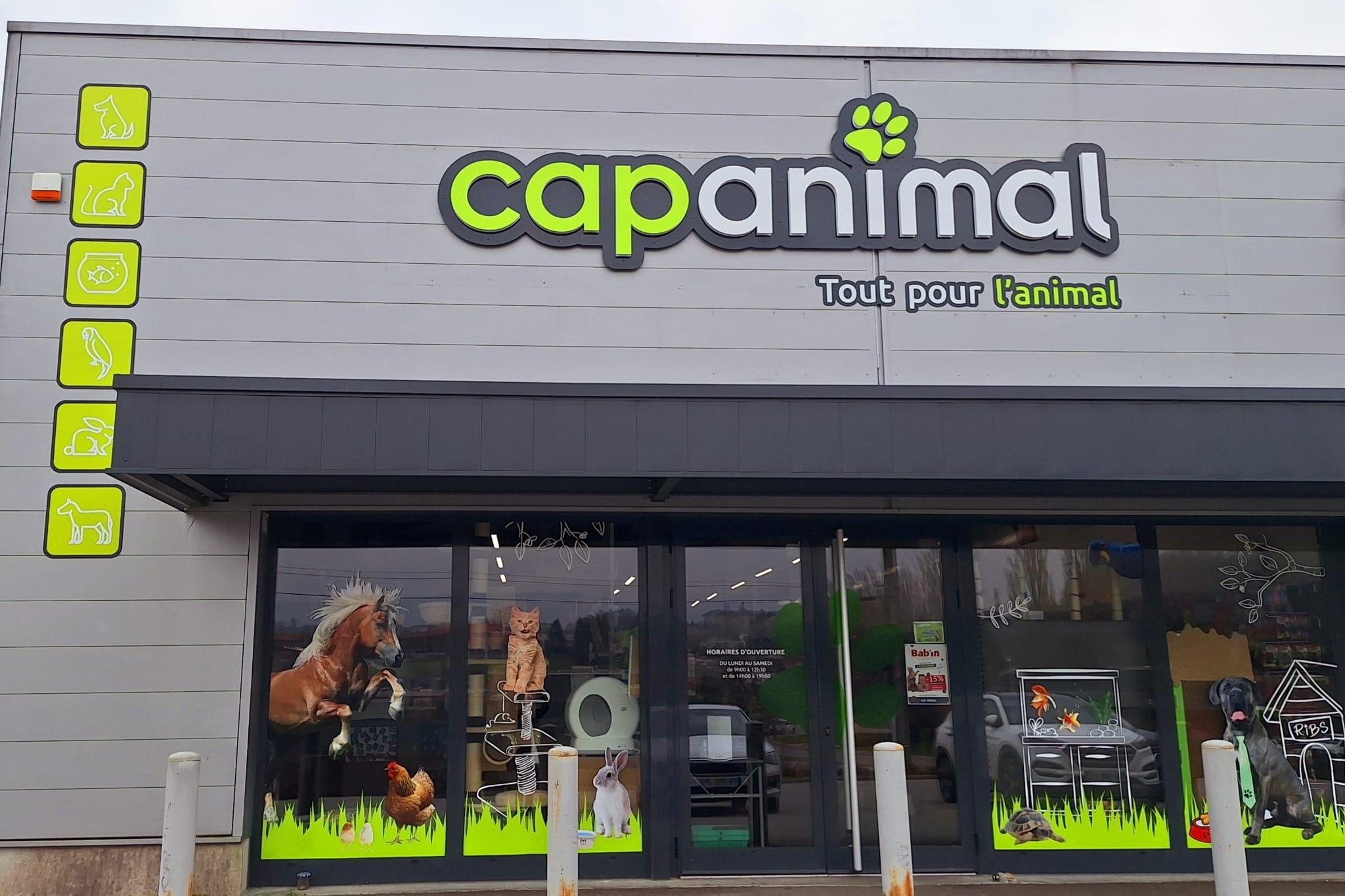 BELLEY - CAP ANIMAL