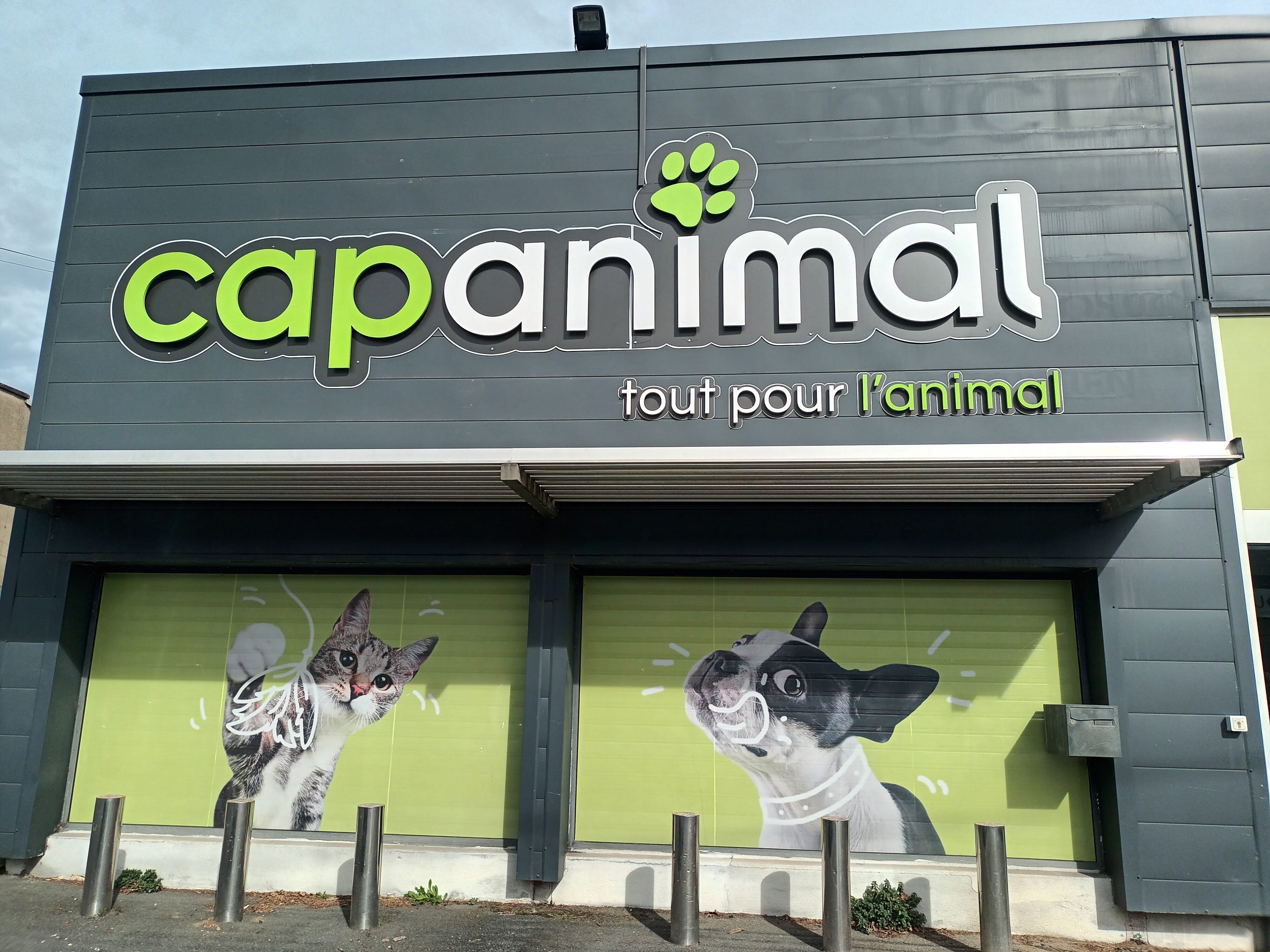 MAZAMET - CAP ANIMAL