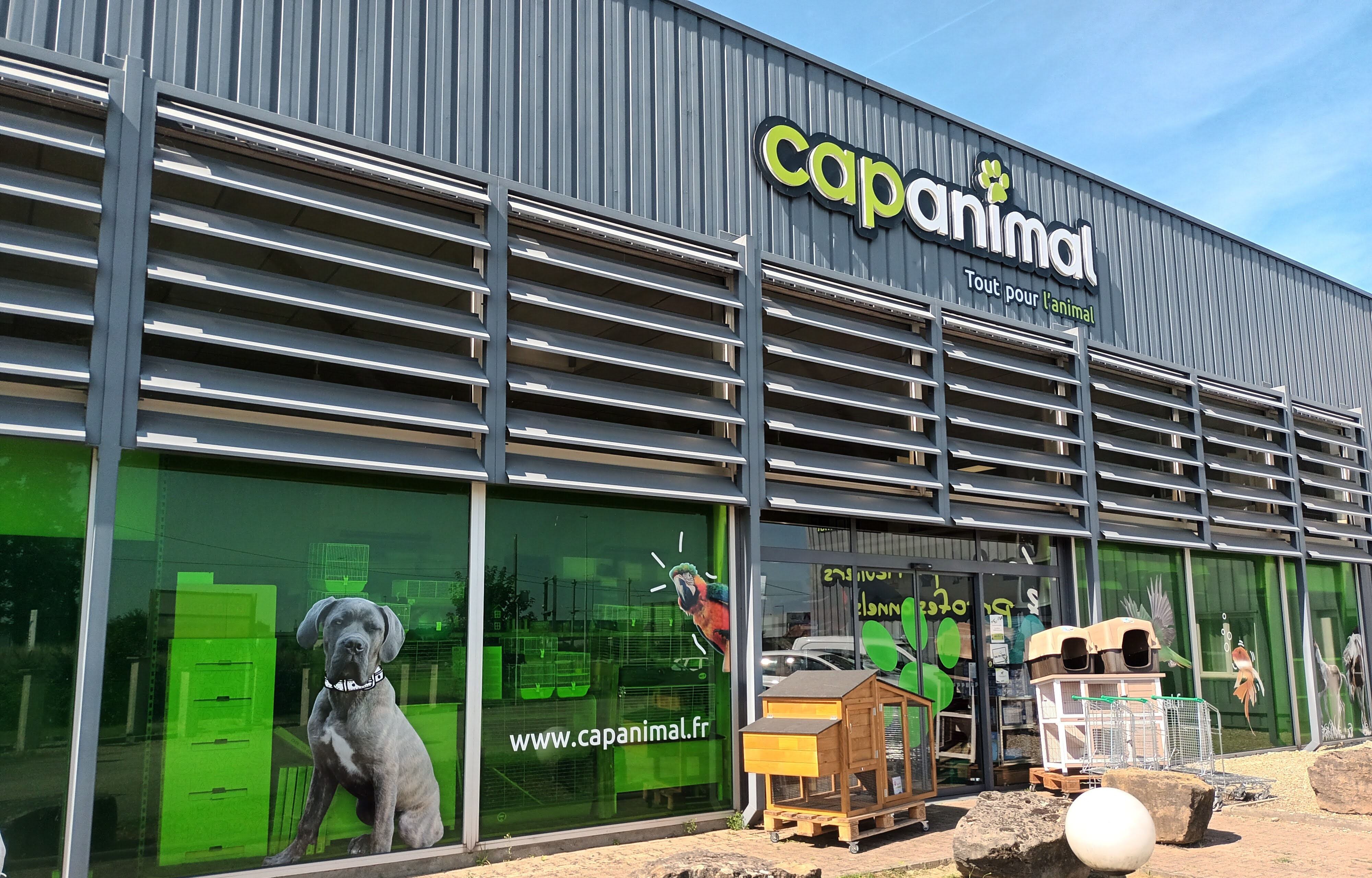 ST QUENTIN - CAP ANIMAL