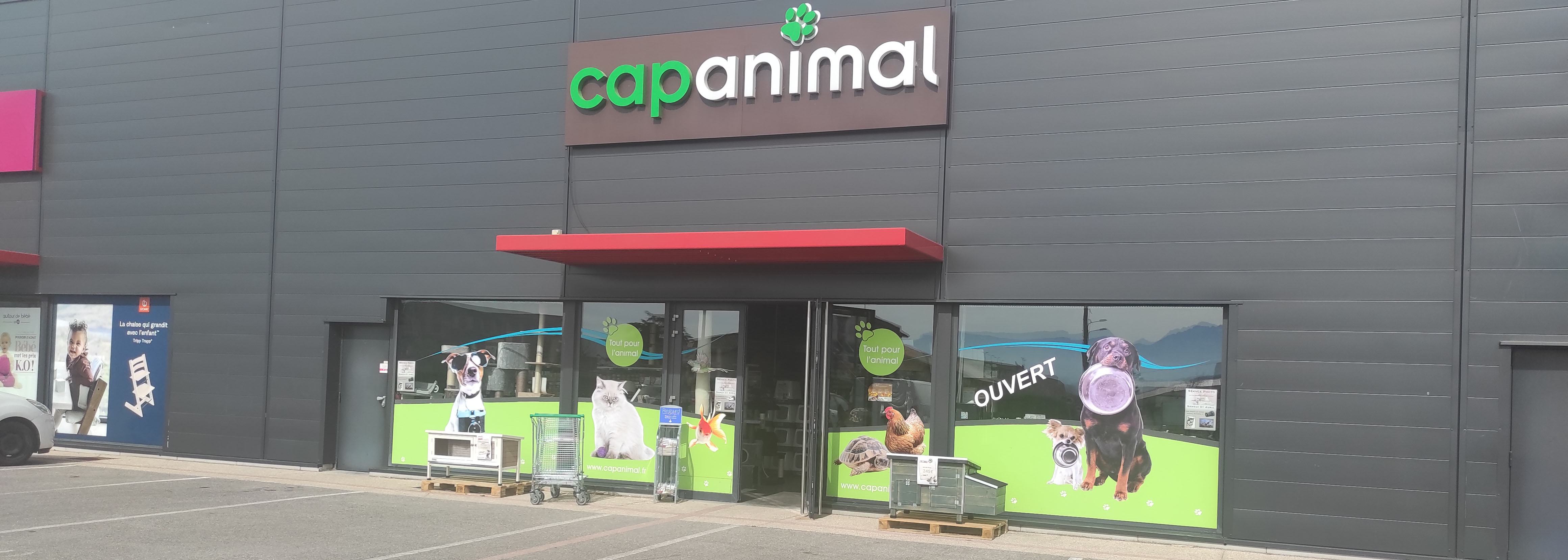 ROMANS - CAP ANIMAL